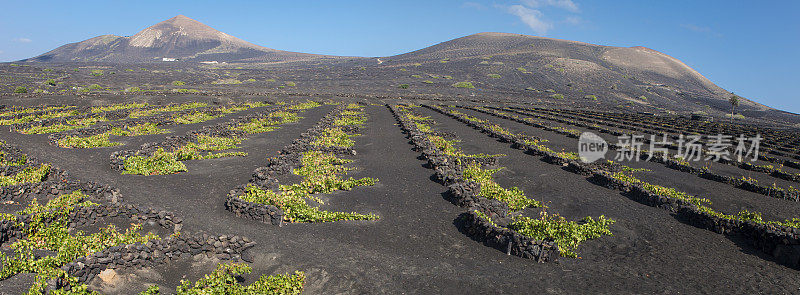 La Geria火山葡萄酒谷